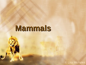 Animal Kingdom Mammals PowerPoint Presentation Lesson Plan by Lisa Michalek