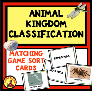Animals By Phyla Teaching Resources | TPT