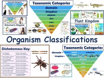 Animal Kingdom & Organism Classifications Flashcards - exam prep, 2022-23
