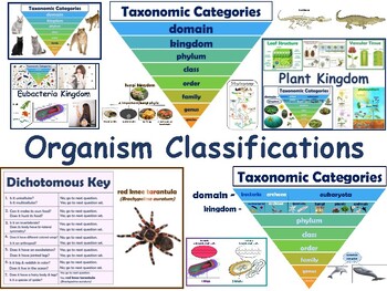 Animal Kingdom & Organism Classifications Lessons - exam prep, 2022-23