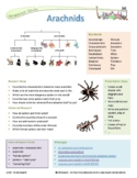 Animal Kingdom Research - Vertebrates and Invertebrates, F