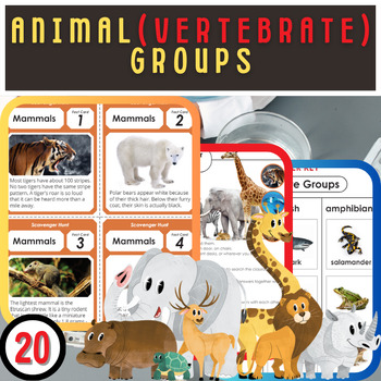 Preview of Animal Kingdom : Worksheets for Vertebrates, Invertebrates, and Classifications