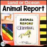 Animal Report Differentiated and Informational Writing Res