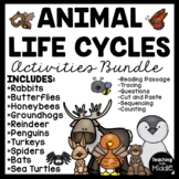 Animal Life Cycle Activities Bundle Rabbit, Butterfly, Hon