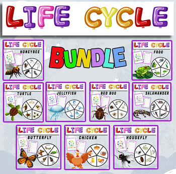 Preview of Animal Life Cycle Activities | Life Cycle of Animals Craft BUNDLE