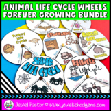 Animal Life Cycle Activities | Life Cycle of Animals Craft BUNDLE