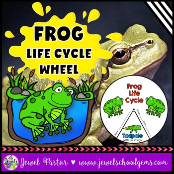 Preview of Animal Life Cycle Activities | Life Cycle of a Frog Craft | Spring Science