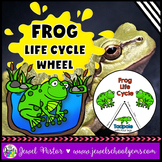 Animal Life Cycle Activities | Life Cycle of a Frog Craft 