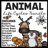 Animal Life Cycle Bundle Rabbit, Butterfly, Honey Bee, Gro