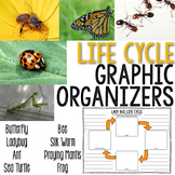Animal Life Cycle Graphic Organizers Butterfly, Frog, Bee, Ant & More