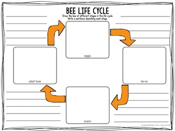 All About Any Animal Graphic Organizer  Graphic organizers, Animal  graphic, Science lessons