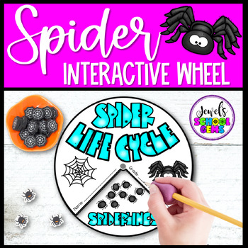 Preview of Animal Life Cycle & Halloween Science Activities | Life Cycle of a Spider Craft