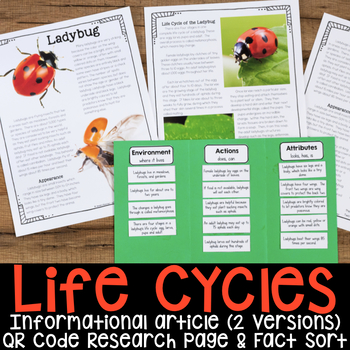 Preview of Animal Life Cycle Reading Passage Research Report Frog Insect Metamorphosis