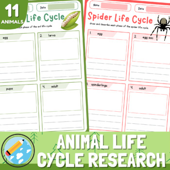 animal life cycle research project