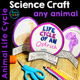 Animal Life Cycle Research Science Craft | Life Cycle of a