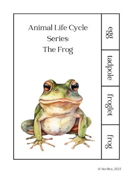 Preview of Animal Life Cycle Series