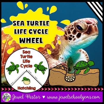 Preview of Animal Life Cycle & Spring Science Activities | Life Cycle of a Sea Turtle Craft