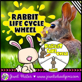Animal Life Cycle and Easter Science Activities | Life Cyc