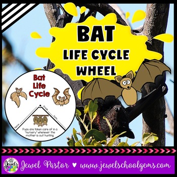 Preview of Animal Life Cycle and Halloween Science Activities | Life Cycle of a Bat Craft