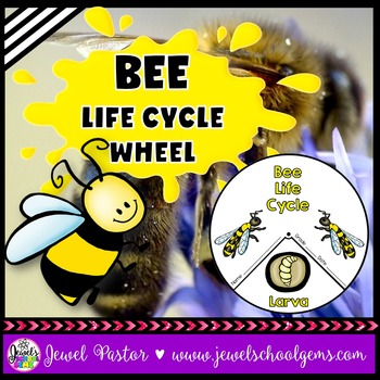 Preview of Animal Life Cycle and Spring Science Activities | Life Cycle of a Bee Craft
