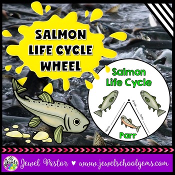 Preview of Animal Life Cycle and Spring Science Activities | Life Cycle of a Salmon Craft