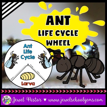 Preview of Animal Life Cycle and Spring Science Activities | Life Cycle of an Ant Craft
