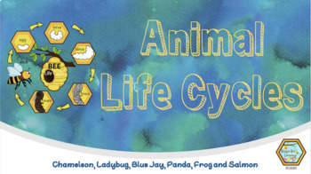 Preview of Animal Life Cycles
