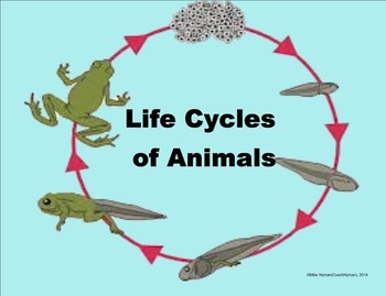 Animal Life Cycles - A 4th Grade SMARTBoard Introduction by Mike Hyman