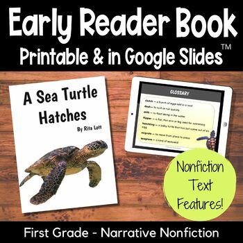 Preview of Animal Life Cycles - A Sea Turtle Hatches - Nonfiction First Grade Early Reader