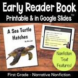 Animal Life Cycles - A Sea Turtle Hatches - Nonfiction Fir