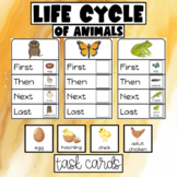 Animal Life Cycles Activity - Hands-on Life Cycle Activity