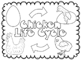 Animal Life Cycles BUNDLE