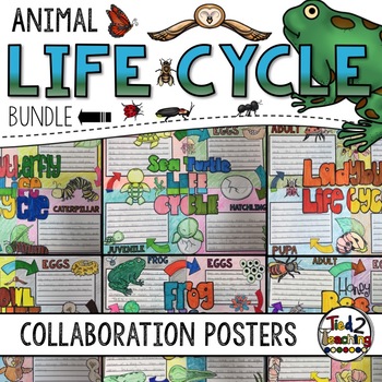Preview of Animal Life Cycle Activities and Collaboration Poster Bundle