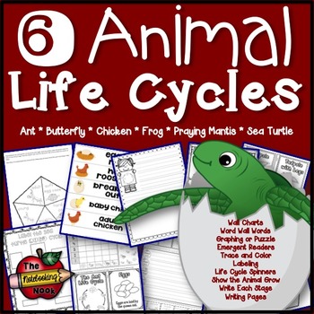 Preview of Animal Life Cycles Interactive Notebook
