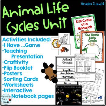 Preview of Animal Life Cycles Bundle - Third Grade