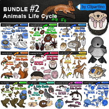 Preview of Animal Life Cycles Clip Art Bundle #2/ Animal Life Cycles ClipArt commercial use