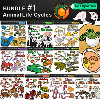 Preview of Animal Life Cycles Clip Art Bundle / Commercial use/ Science clipart