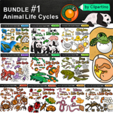 Animal Life Cycles Clip Art Bundle / Commercial use/ Scien