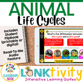 Animal Life Cycles LINKtivity® (Frog, Turtle, Chicken, Bee