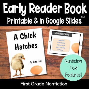 Preview of Animal Life Cycles From Egg to Chicken Nonfiction Printable Leveled Reading Book