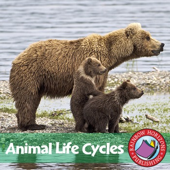 Preview of Animal Life Cycles Gr. 2-3