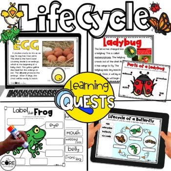 Preview of Animal Life Cycles Independent Work - Animal Science Activities Bundle