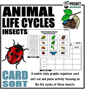 Preview of Animal Life Cycles [Insects] Card Sort [Cut and Paste Activity]