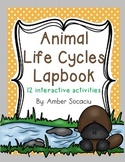 Animal Life Cycles Lapbook