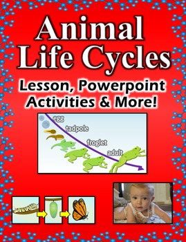 Preview of Animal Life Cycles - Lesson, Powerpoint, Activities and More!