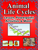 Animal Life Cycles - Lesson, Powerpoint, Activities and More!