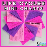Animal Life Cycles Mini-Charts | Ladybug, Salmon, Sea Turt