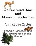 Animal Life Cycles Reading Passages : White-Tailed Deer an