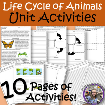 Preview of Animal Life Cycles Worksheets (Complete/Incomplete Metamorphosis)