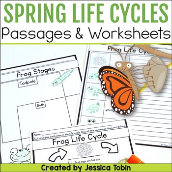 Preview of Frog, Chicken, Butterfly Life Cycle Worksheet & Passages - Spring Activities